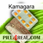 Kamagara new13
